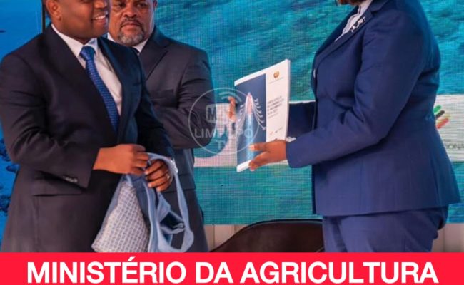 WhatsApp Image 2025-11-12 at 00.59.57