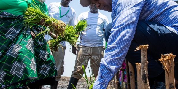 WhatsApp Image 2025-11-14 at 08.59.46