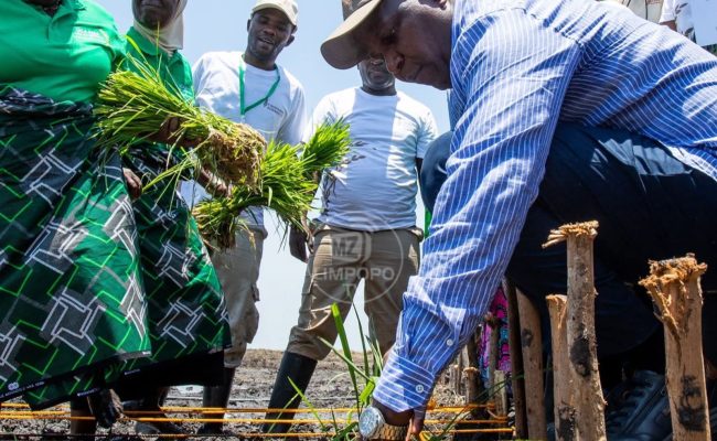 WhatsApp Image 2025-11-14 at 08.59.46